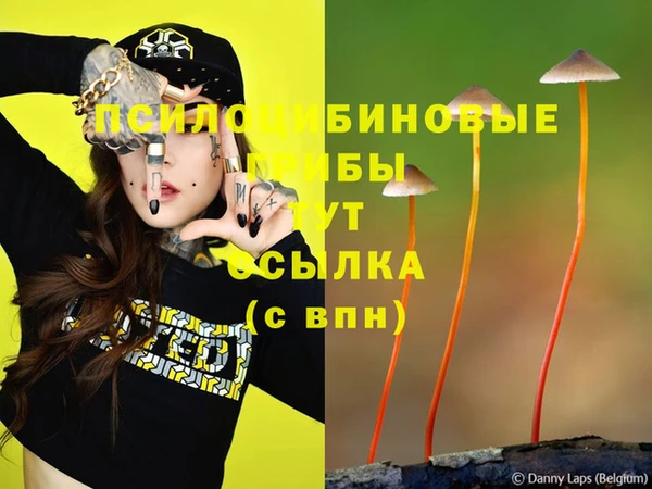 apvp Ачинск
