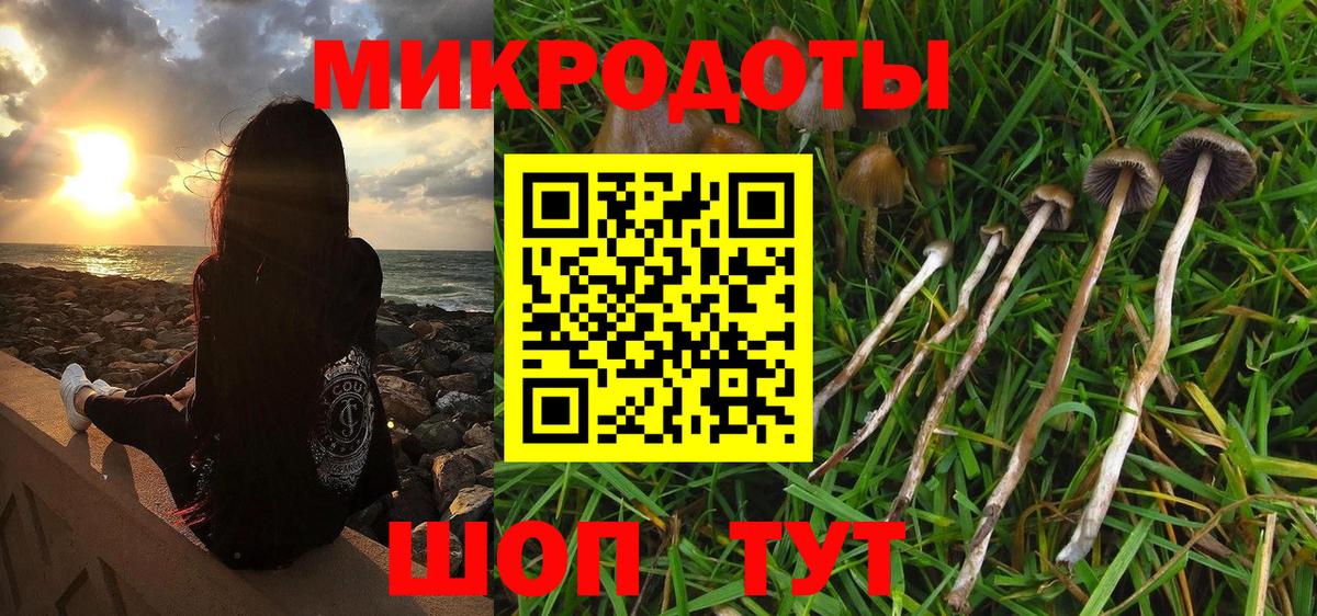 Псилоцибиновые грибы Psilocybine cubensis  Вход с VPN  Псилоцибиновые грибы мицелий  Кирово-Чепецк 